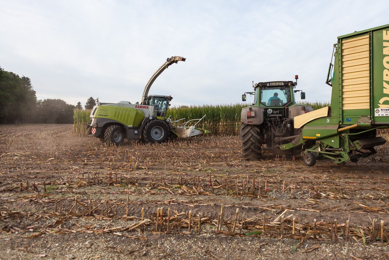 Bild 94 - Maisernte 2016